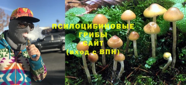 мдма Белокуриха