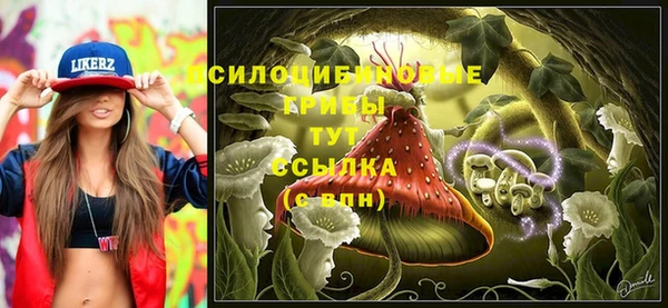 трава Беломорск